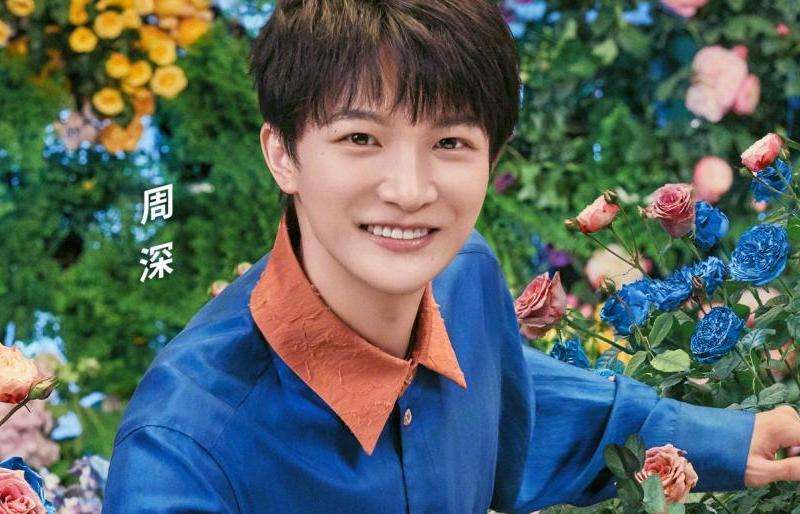 周深在INS上的粉丝数量