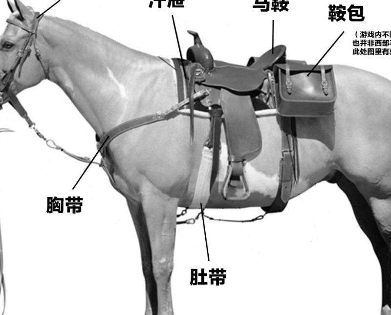 和马在Ins上的点赞记录