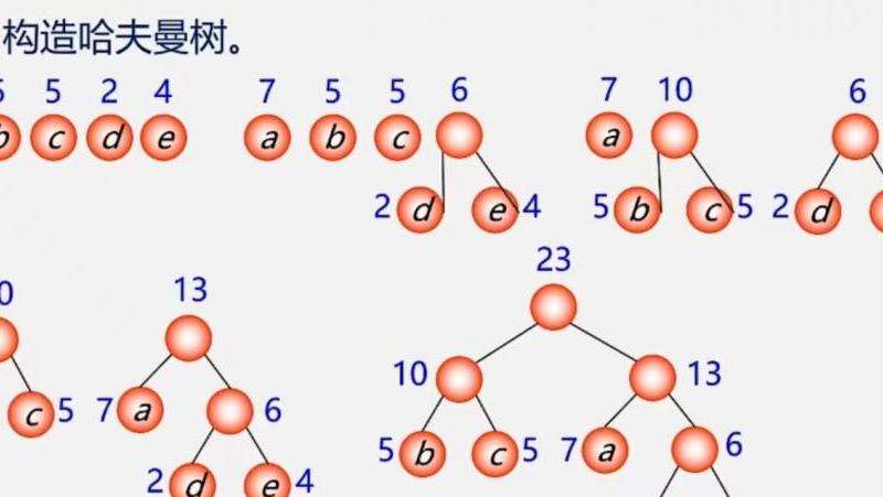 哈曼丹Instagram粉丝数量统计