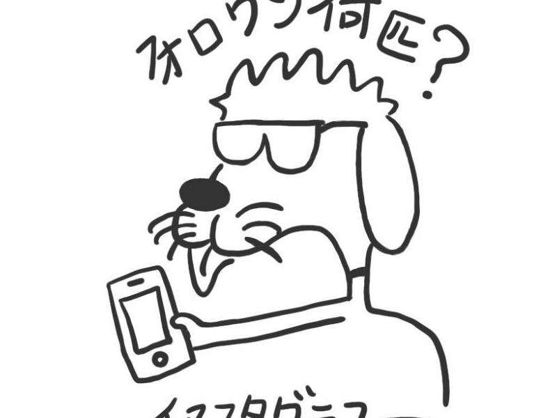 哈斯布拉INS有多少粉丝？