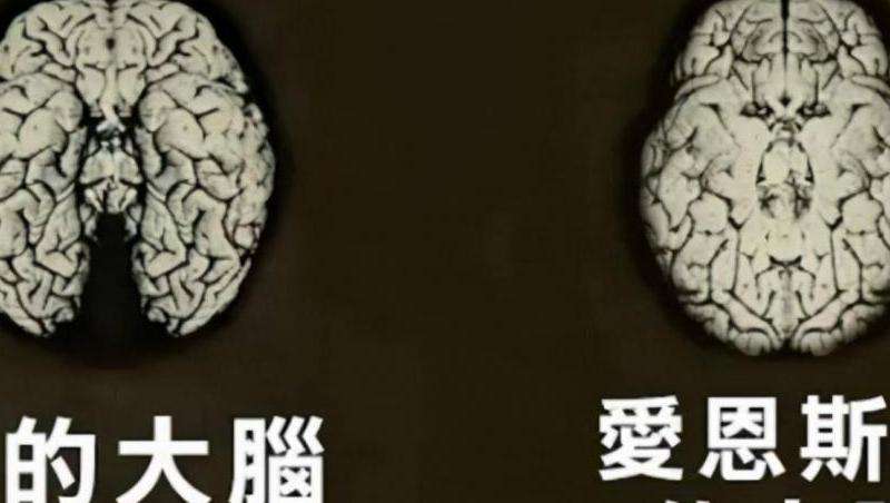 哈维在Ins上的粉丝数量